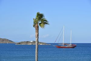 Alojamiento - Astir Of Paros