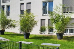 Alojamiento - Bader Aparthotel