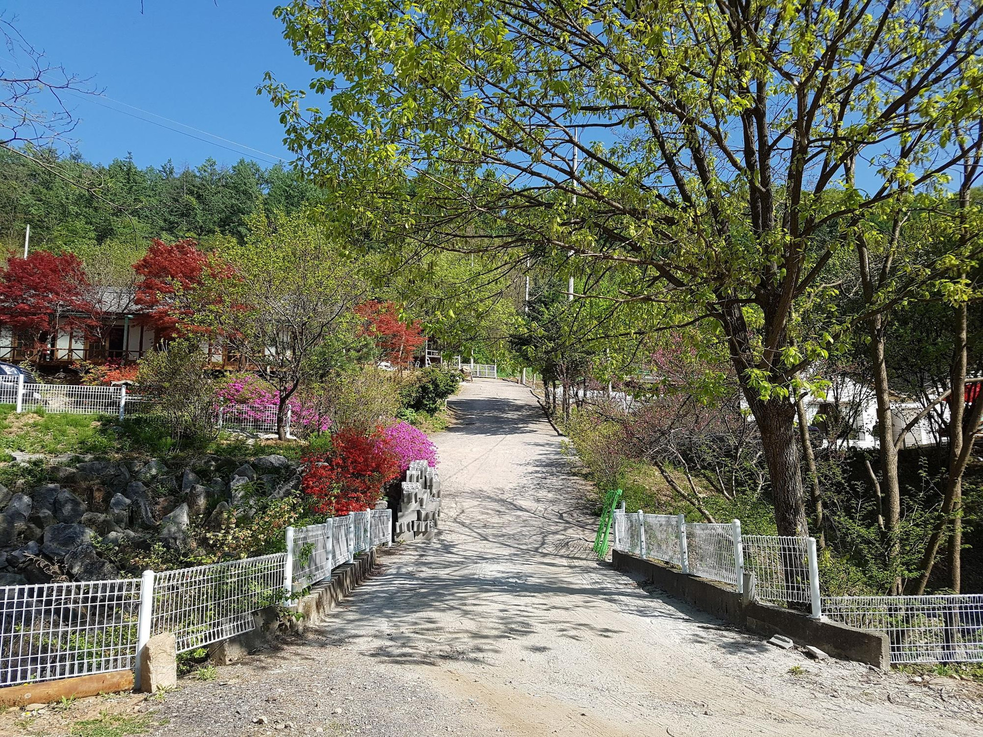 Vista Exterior Hwaya Mountain Pension