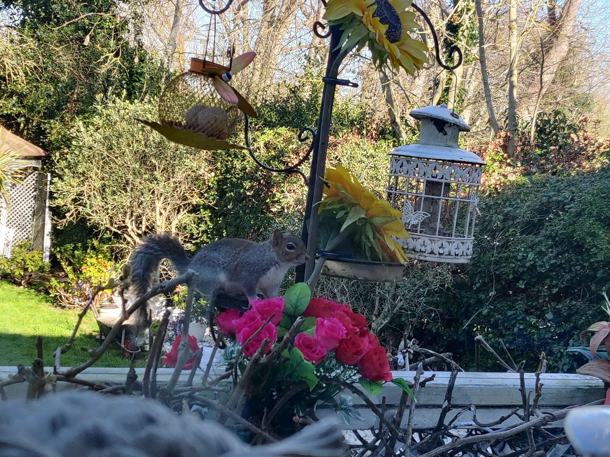 Varios Avonpark House