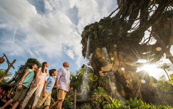 Avatar Flight of Passage