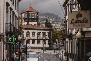 Actividad - Bus turístico de Madeira: Funchal y Camara de Lobos