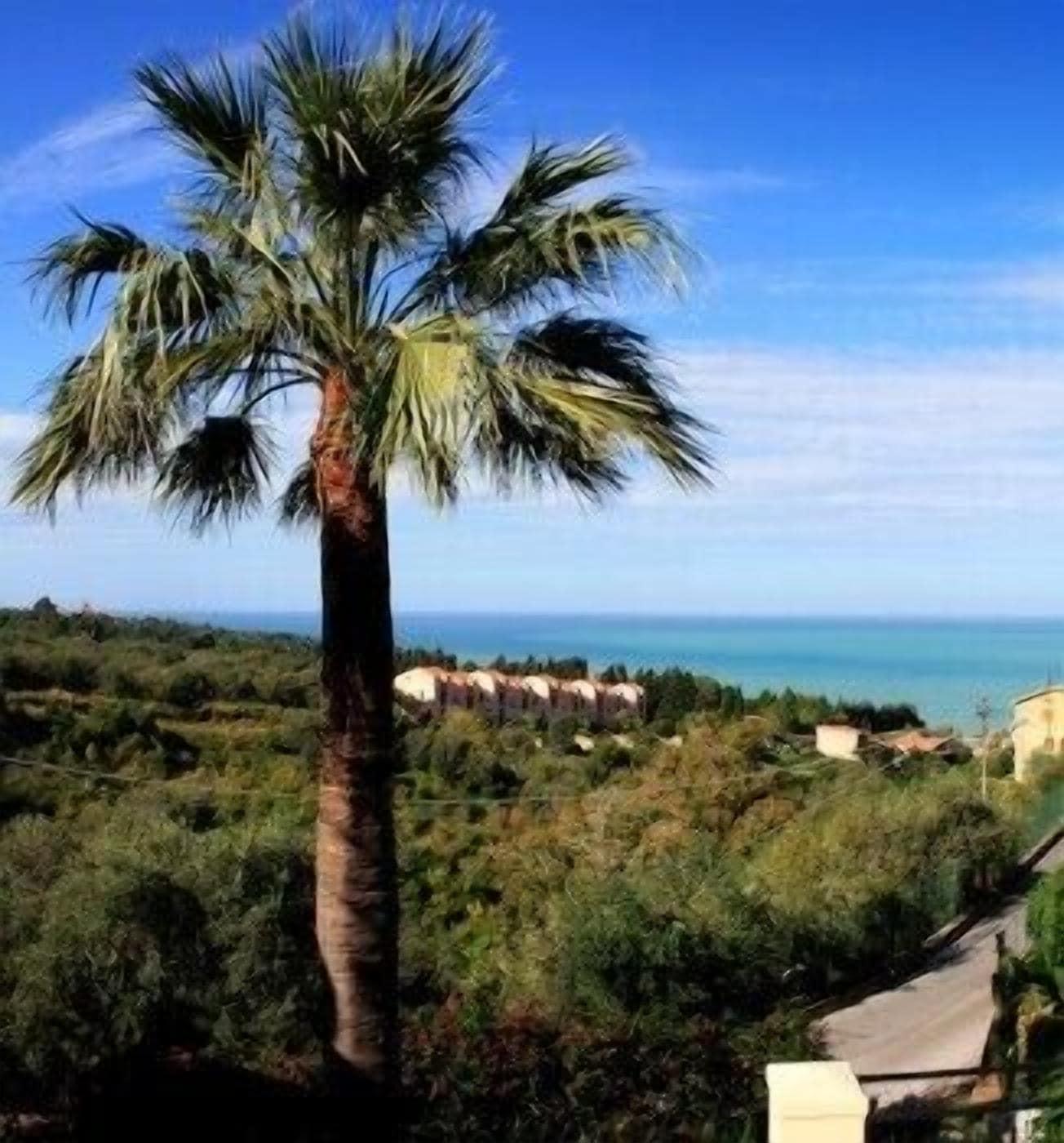 Playa Bouganville B&B