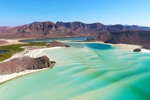 Actividad - *Playa Balandra y Snorkel en La Paz sj
