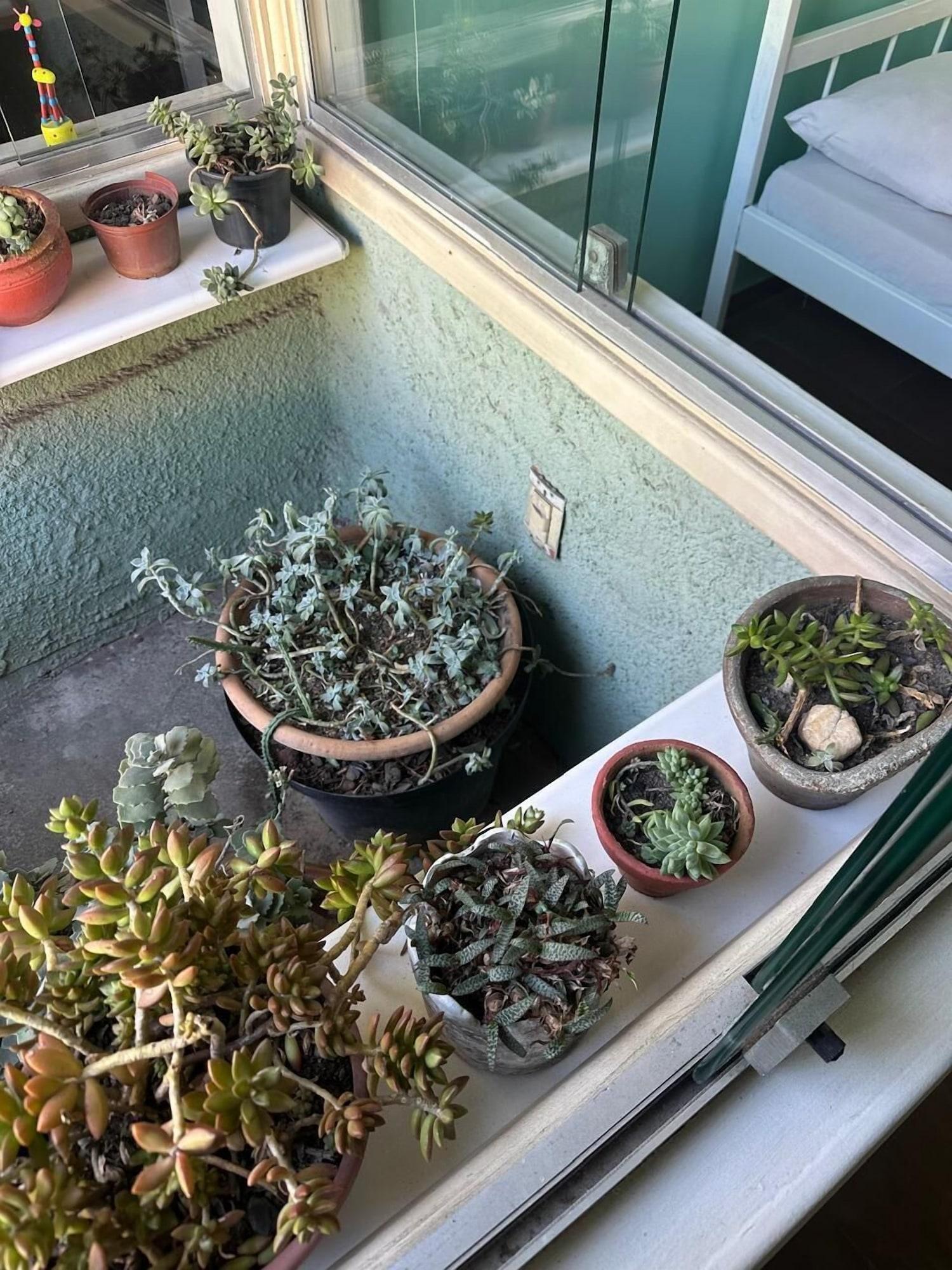 Equipamiento de Habitación Hostel Casa 8