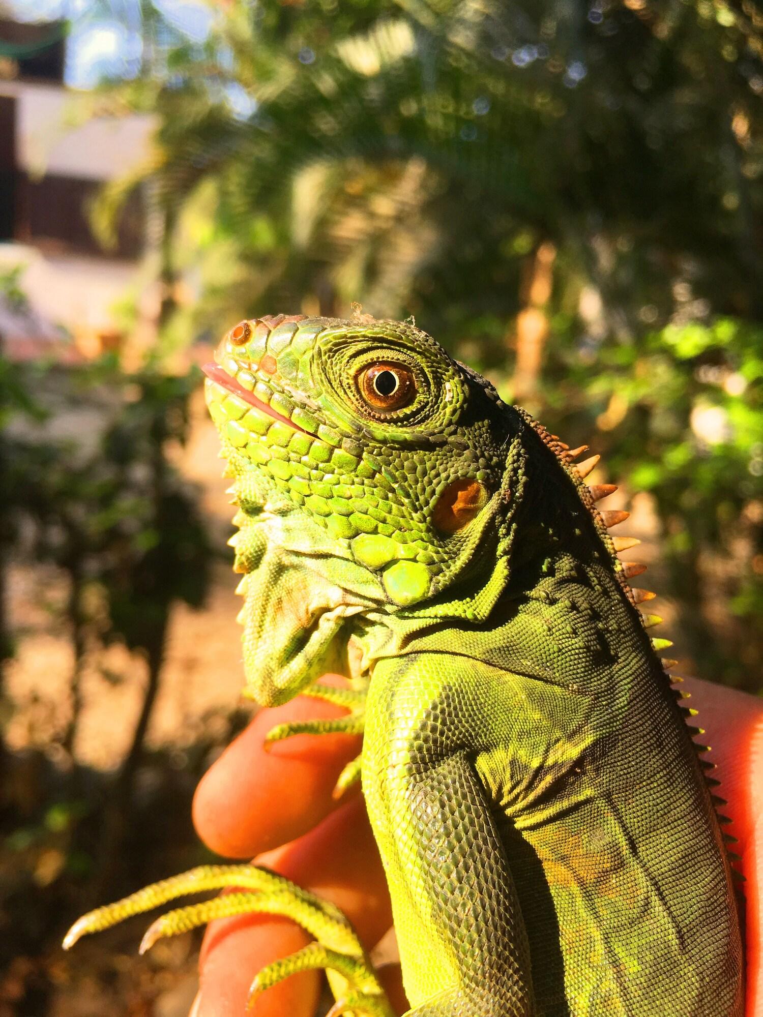 Vista Exterior ALoha Palomino