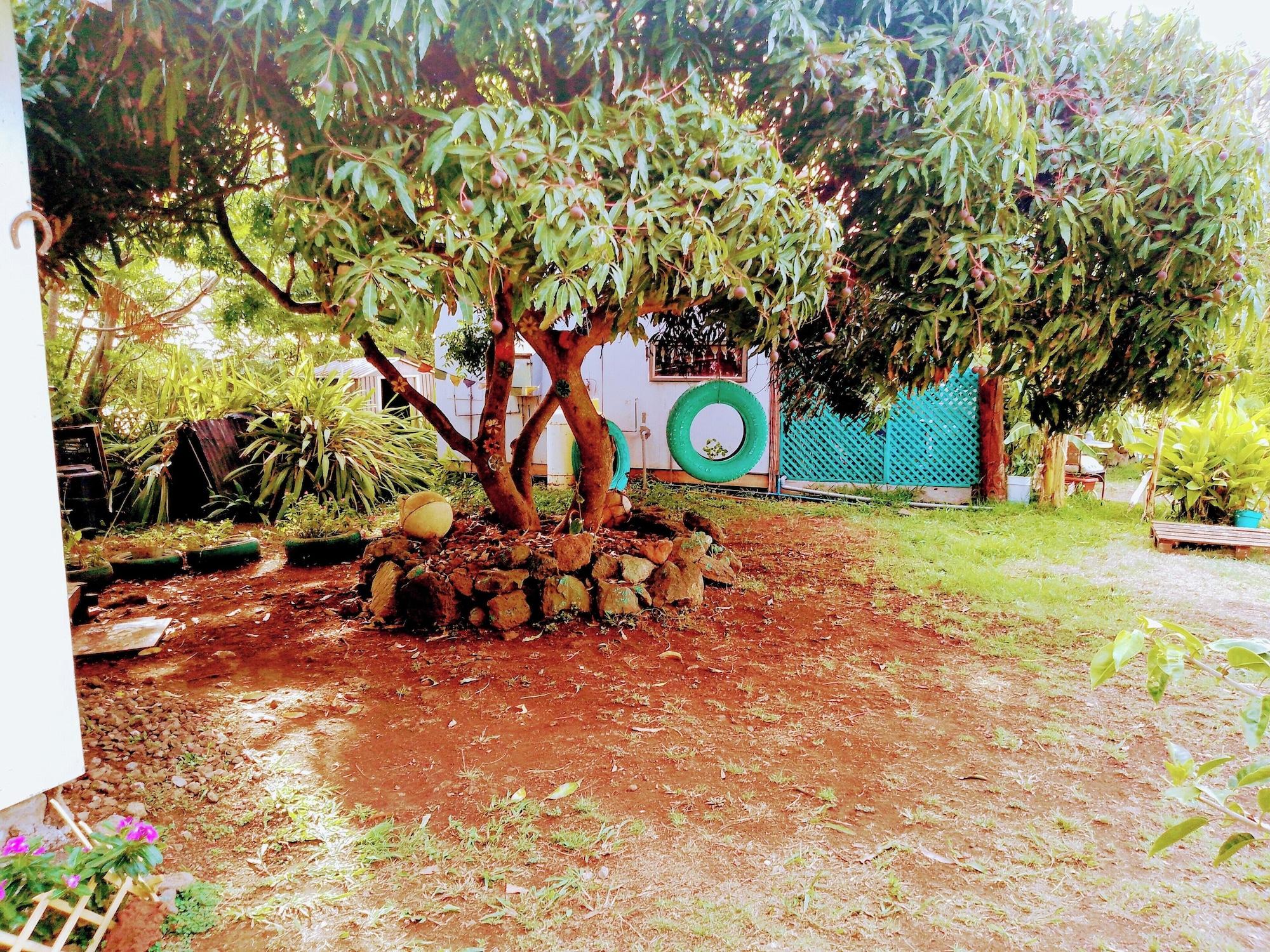 Vista Exterior House Honu Rapanui inn