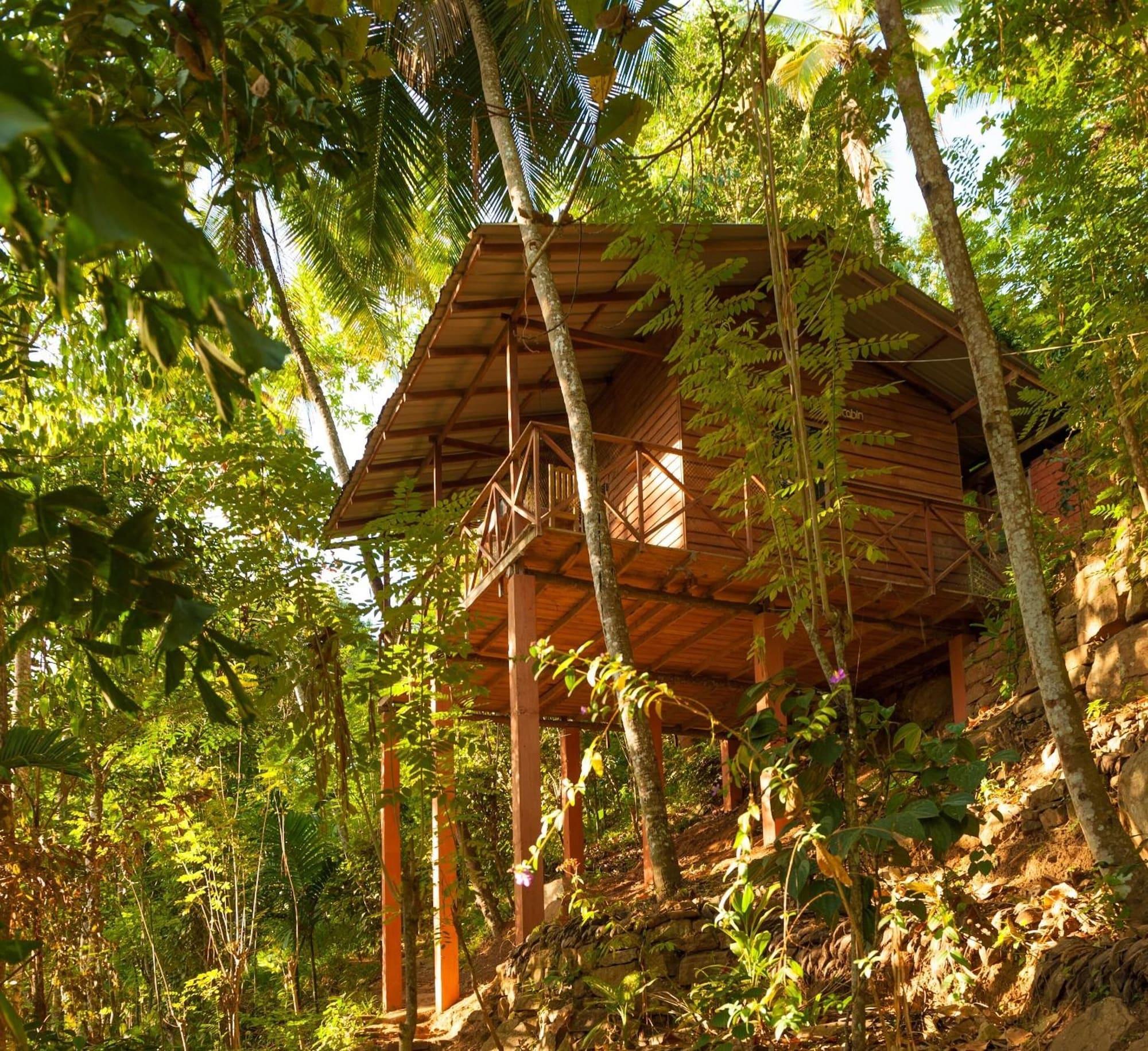 Vista Exterior Polwaththa Eco Lodges
