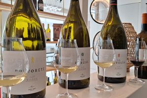 Actividad - Desde Leon: Escencia del Bierzo, Visita a Bodega y degustacion de vino en el Bierzo con flexibilidad de fechas