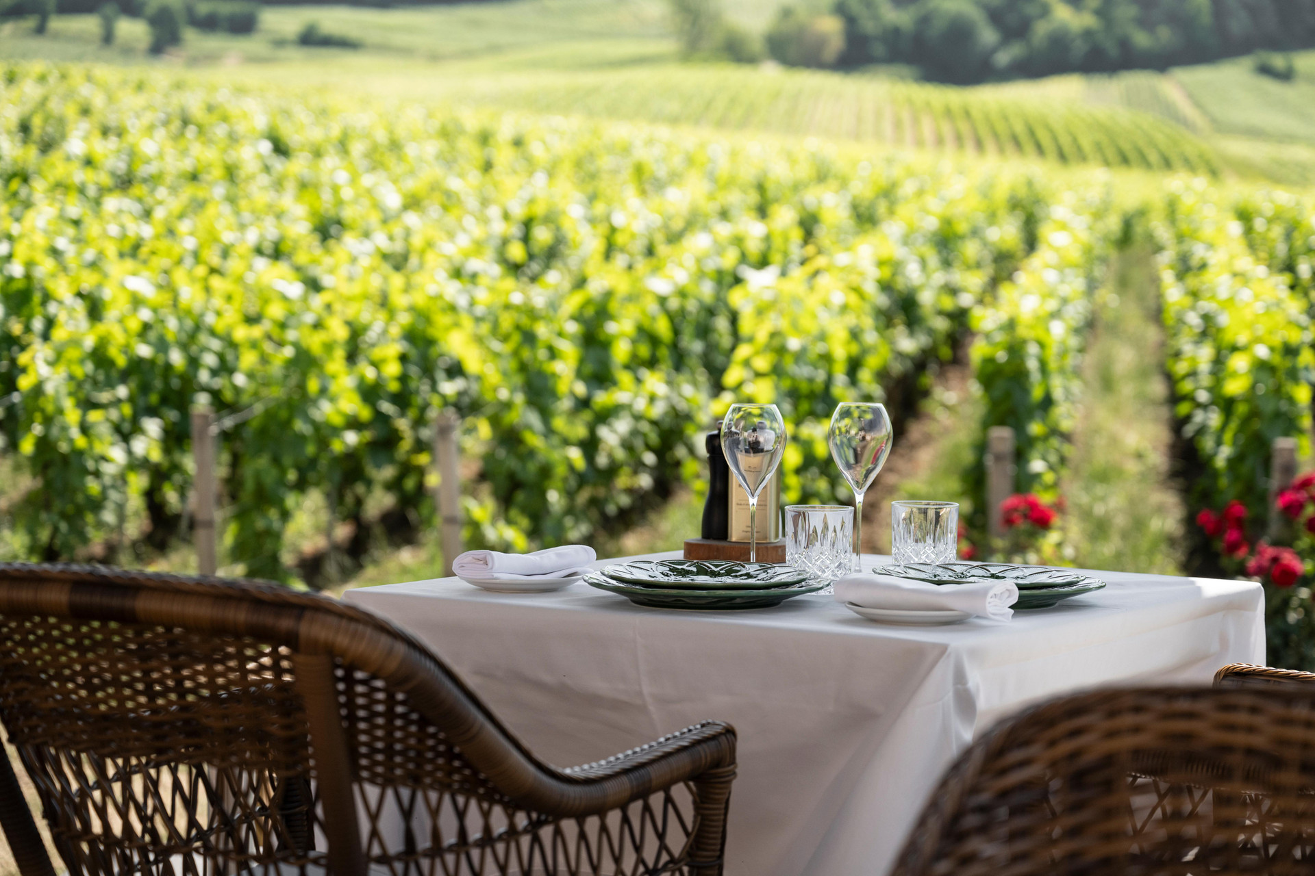 Varios Château de Sacy