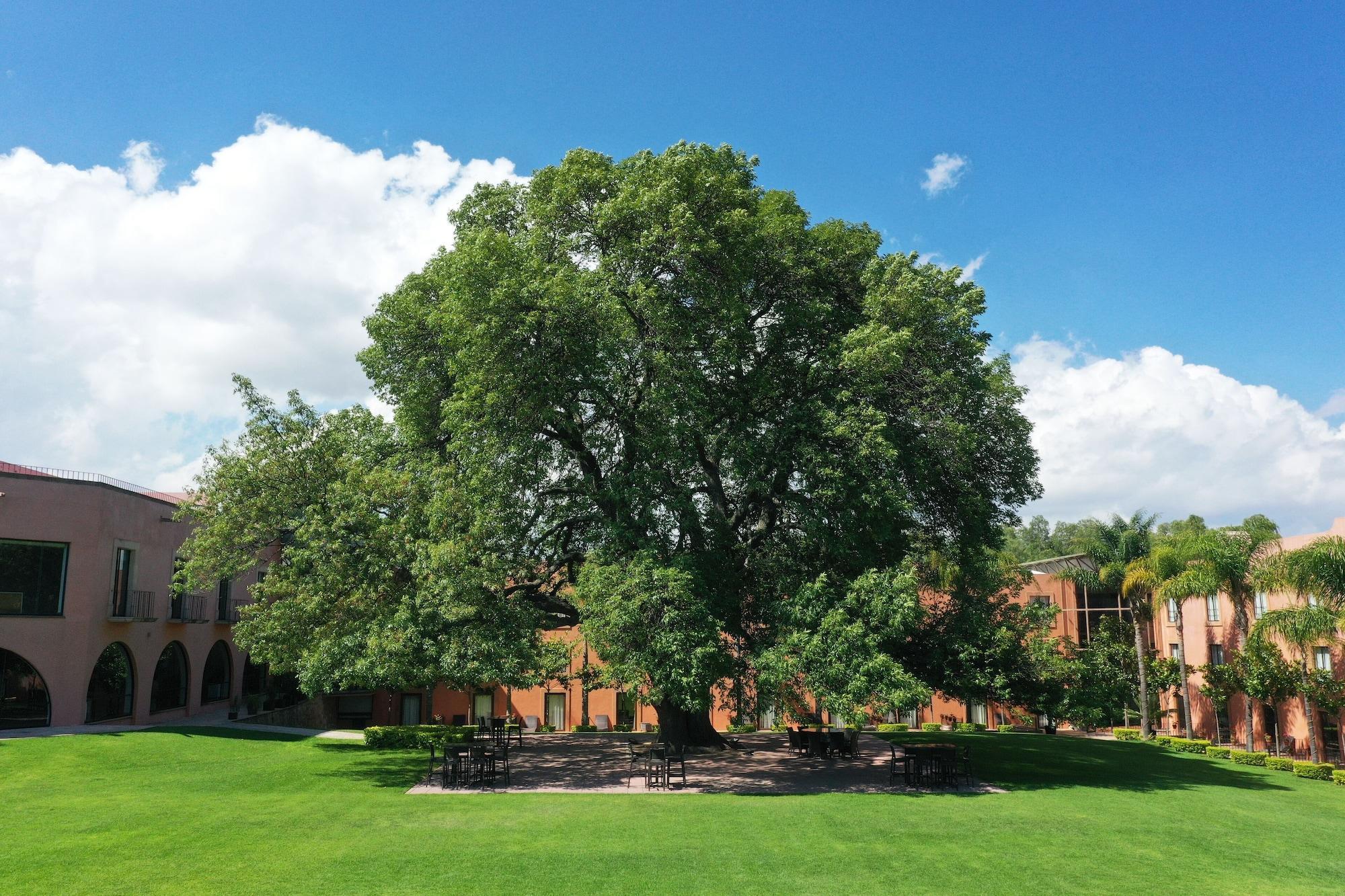 Vista Exterior El Diezmo Hotel