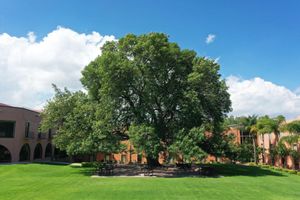 Alojamiento - El Diezmo Hotel