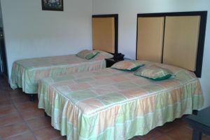 Alojamiento - Hotel Catedral