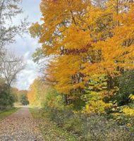 Alquiler Vacacional - Cedar Point/Kalahari/Lake Erie - Betty's Homestead