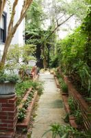 Alquiler Vacacional - Apt2 Edenbrae - Walkable Southern Gothic Mansion