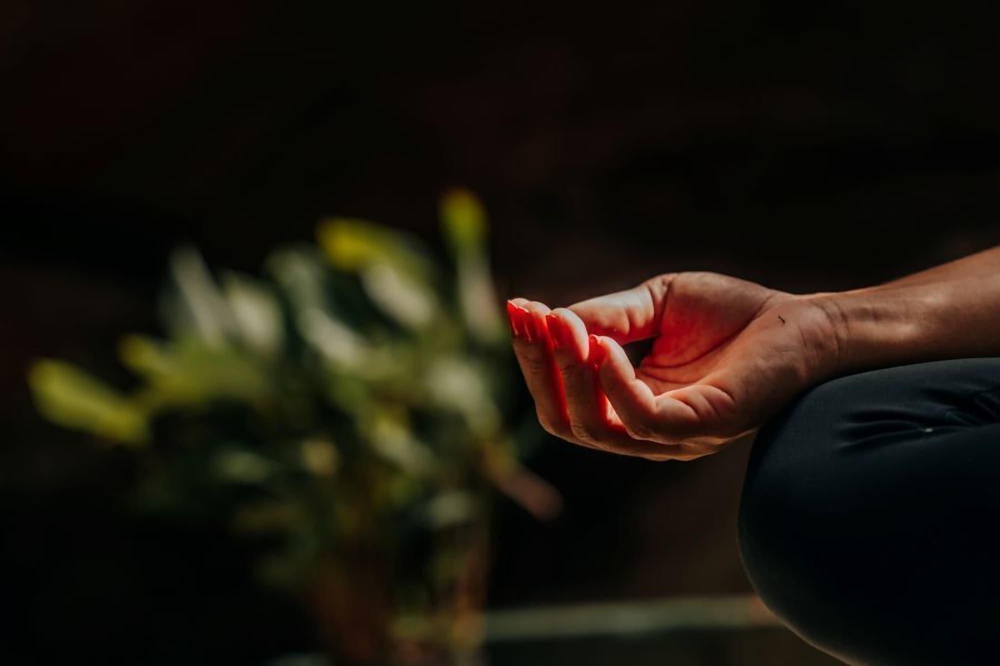 Vista Lobby JARDIM DA AMAZONIA LODGE