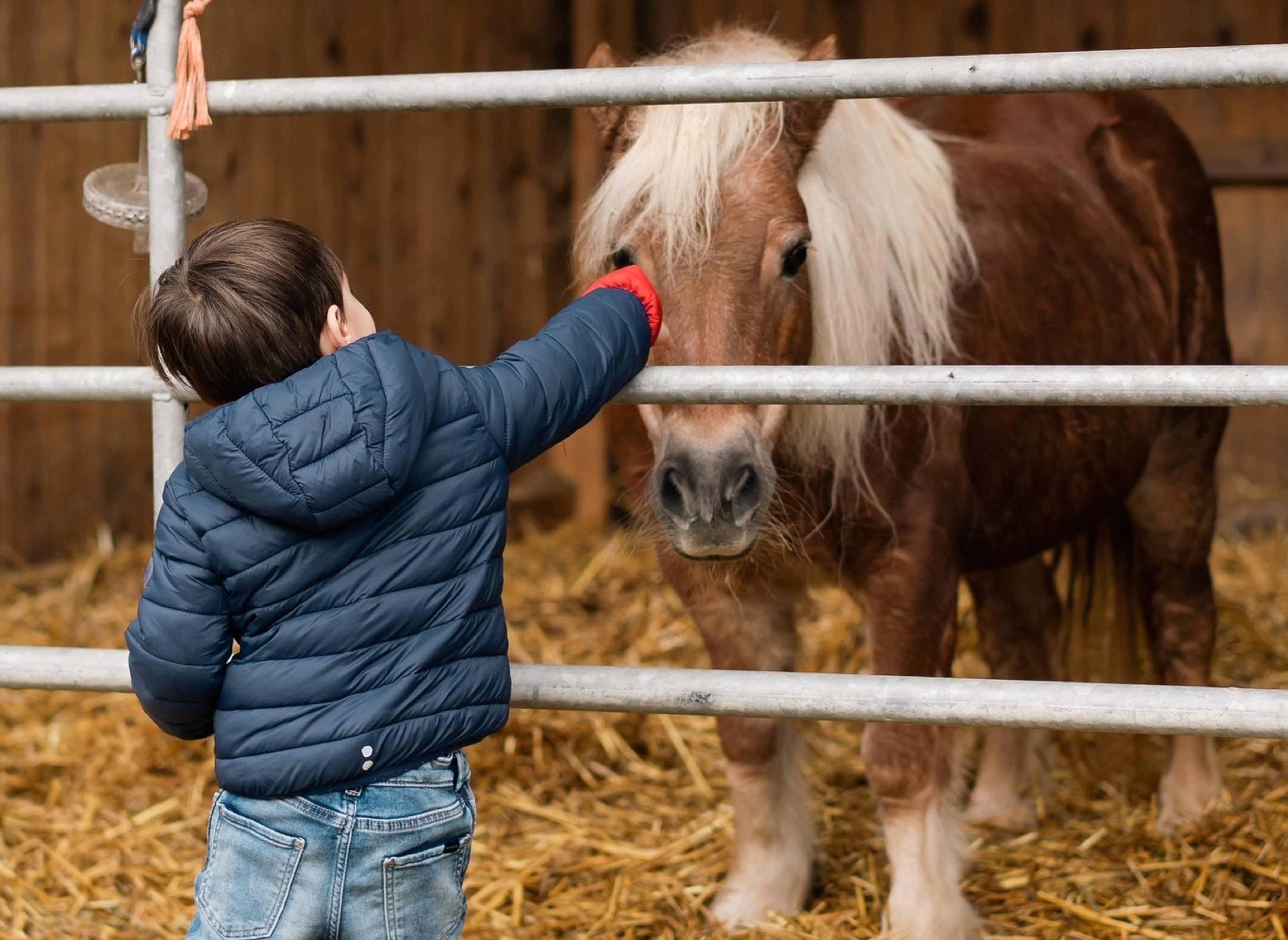 Instalaciones Recreativas Domaine de Maffliers - Paris Val-d'Oise