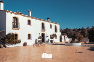 Alojamiento - Hotel Los Sibileys