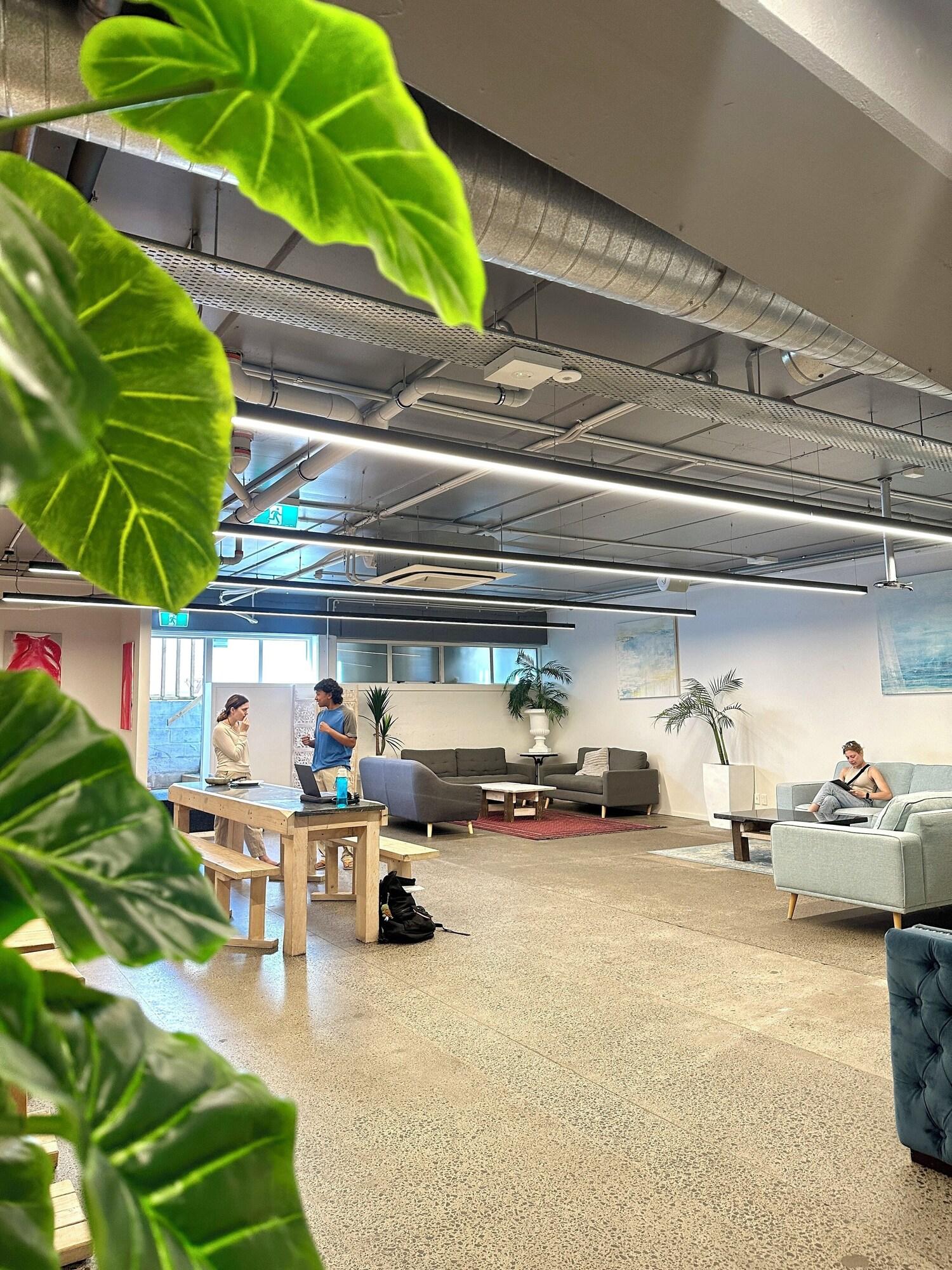 Vista Lobby TMACS Auckland