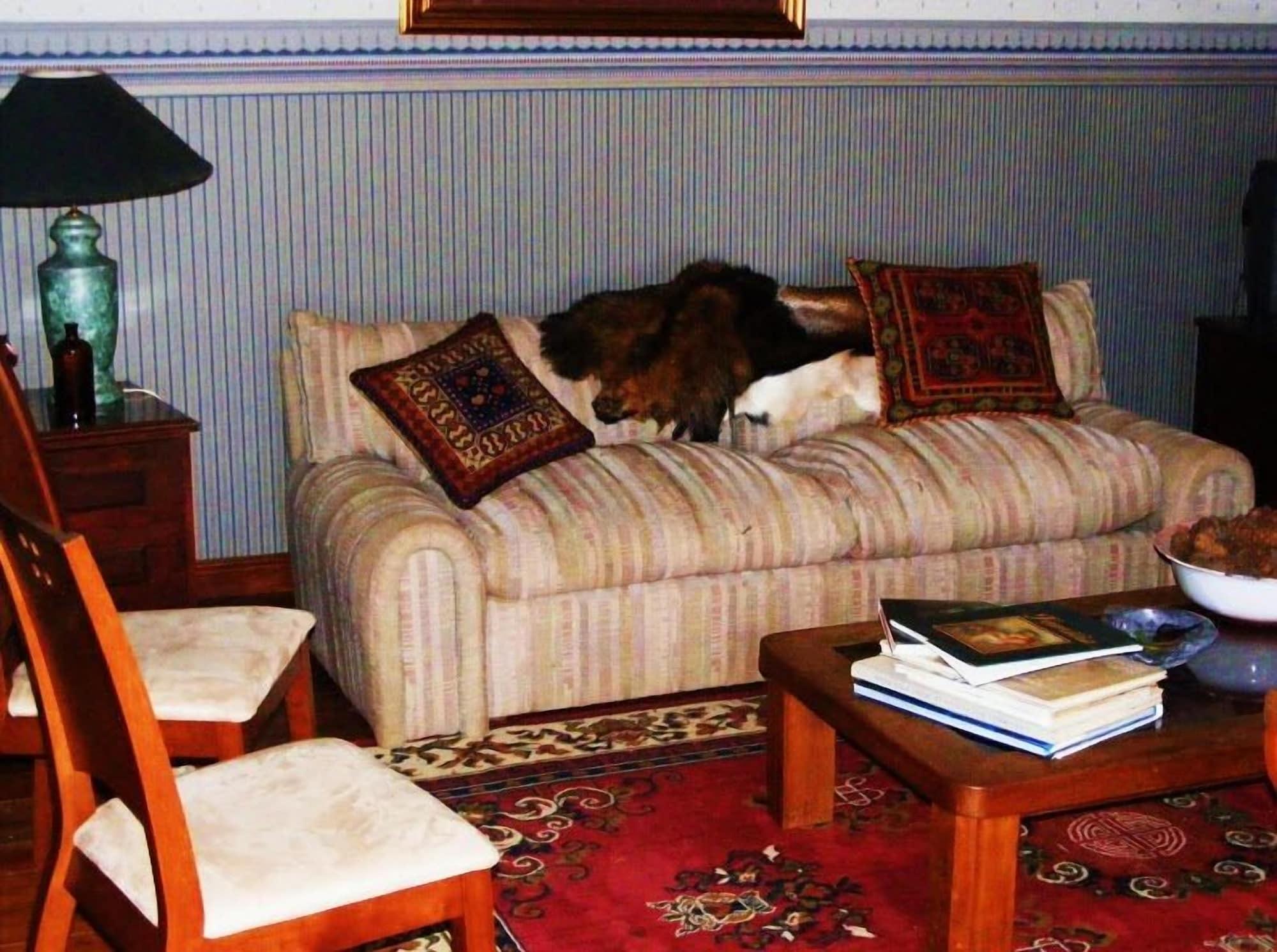 Vista Lobby Casa de la Oma